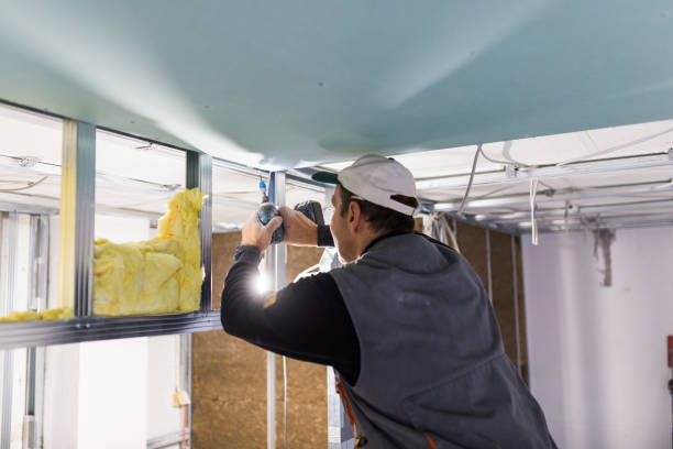 Best Insulation Maintenance and Repair in Lincoln Rk, PA
