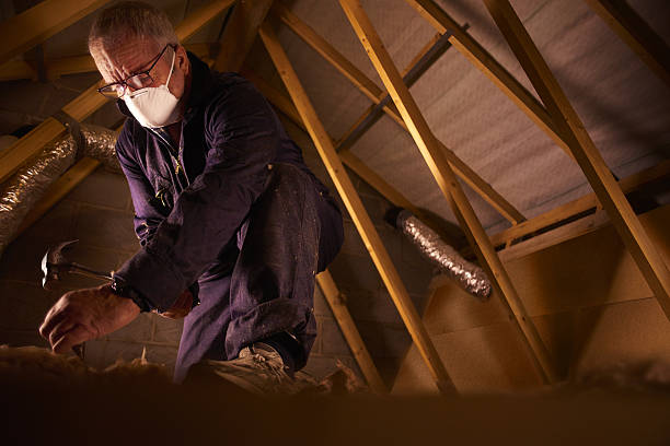Types of Insulation We Offer in Lincoln Park, PA